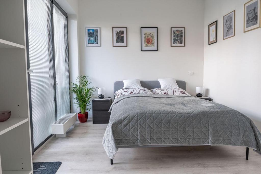 Appartement Nove Sady Olomouc Extérieur photo